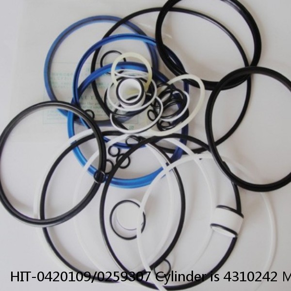 HIT-0420109/0259307 Cylinder is 4310242 MACHINE EX400-3C EXCAVATOR STEERING BOOM ARM BUCKER SEAL KITS HYDRAULIC CYLINDER factory #1 small image