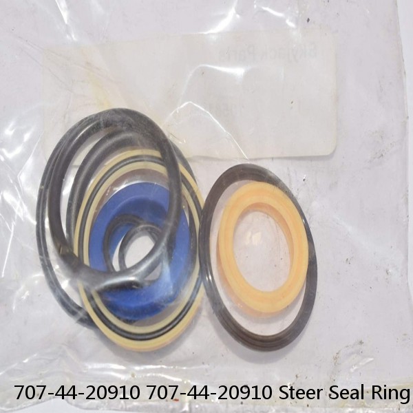 707-44-20910 707-44-20910 Steer Seal Ring For Bucket Cylinder PC1250-8 Service #1 image