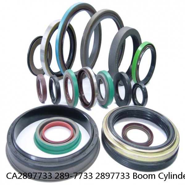 CA2897733 289-7733 2897733 Boom Cylinder Seal Repair Kit For CAT E311D E313D Service #1 image