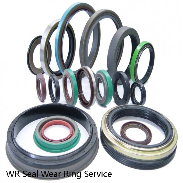 WR Seal Wear Ring Service #1 image