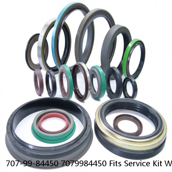 707-99-84450 7079984450 Fits Service Kit WA Komatsu Dump Hydraulic Cylinder Seal Kit Service #1 image