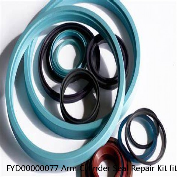 FYD00000077 Arm Cylinder Seal Repair Kit fits DEERE 75D 85D Service #1 image